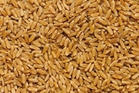 Агропродукция - <ro>Изображение</ro><ru>Изображение</ru> #2, <ru>Объявление</ru> #1677786