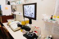 Ветеринарная клиника Айболит - <ro>Изображение</ro><ru>Изображение</ru> #3, <ru>Объявление</ru> #1690093