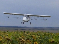 Десикація соняшника. Літак-Бекас, Агродрон, Дельтоплан - <ro>Изображение</ro><ru>Изображение</ru> #1, <ru>Объявление</ru> #1689767