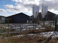 Продам ферму 25 га з будинком та ангарами в Новгород-Сіверському - <ro>Изображение</ro><ru>Изображение</ru> #2, <ru>Объявление</ru> #1718741