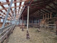 Продам ферму 25 га з будинком та ангарами в Новгород-Сіверському - <ro>Изображение</ro><ru>Изображение</ru> #4, <ru>Объявление</ru> #1718741