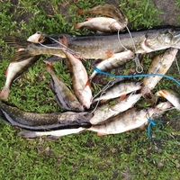 Мини-база У Анютки Отдых, рыбалка, грибочки, ягоды - <ro>Изображение</ro><ru>Изображение</ru> #4, <ru>Объявление</ru> #1720451