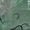 Участок 0,18га под застройку ул.Липинского(Бобровица), Чернигов - <ro>Изображение</ro><ru>Изображение</ru> #2, <ru>Объявление</ru> #159672