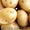 Продам картофель нового урожая #285228