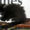 Красивые персидско-ангорские котята! - <ro>Изображение</ro><ru>Изображение</ru> #5, <ru>Объявление</ru> #690500