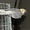 Продам очаровательного попугай с клеткой - <ro>Изображение</ro><ru>Изображение</ru> #3, <ru>Объявление</ru> #700167