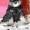 Щенки цвергшнауцера окрас черный с серебром - <ro>Изображение</ro><ru>Изображение</ru> #2, <ru>Объявление</ru> #824025