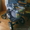 Універсальна коляска 2 в 1 Jumper, Trans baby - <ro>Изображение</ro><ru>Изображение</ru> #3, <ru>Объявление</ru> #865561