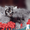 Вязка пеосидским котом экстремалом. - <ro>Изображение</ro><ru>Изображение</ru> #8, <ru>Объявление</ru> #906938