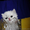 Вязка персидским котом экстремалом. - <ro>Изображение</ro><ru>Изображение</ru> #2, <ru>Объявление</ru> #906930