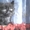 Вязка пеосидским котом экстремалом. - <ro>Изображение</ro><ru>Изображение</ru> #2, <ru>Объявление</ru> #906938
