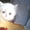 Вязка пеосидским котом экстремалом. - <ro>Изображение</ro><ru>Изображение</ru> #3, <ru>Объявление</ru> #906938