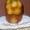 Настойка гриба весёлки (3-х литровая банка) - <ro>Изображение</ro><ru>Изображение</ru> #3, <ru>Объявление</ru> #524449
