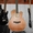 Новая Акустическая Гитара Leo Tone L-01 #1338062