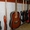Черниговская 12 струнная Гитара Супер Экономный вариант - <ro>Изображение</ro><ru>Изображение</ru> #3, <ru>Объявление</ru> #1338024