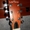 Новая Акустическая Гитара Leo Tone L-01 - <ro>Изображение</ro><ru>Изображение</ru> #6, <ru>Объявление</ru> #1338062