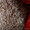 ООО"Мироновские-семена" реализуем посевной материал яровых с/х культур - <ro>Изображение</ro><ru>Изображение</ru> #3, <ru>Объявление</ru> #1554778