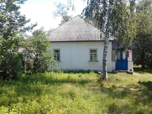 Продам дом в Черниговской обл - <ro>Изображение</ro><ru>Изображение</ru> #4, <ru>Объявление</ru> #810849