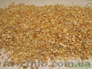 Куплю кукурузу,  пшеницу,  ячмень,  соя,  зерно,  фураж,  зерноотходы,  битую