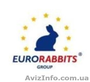 Предлагаем прибыльный  бизнес