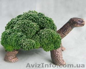 Курс Ландшафтный дизайн в Харькове. Звоните.