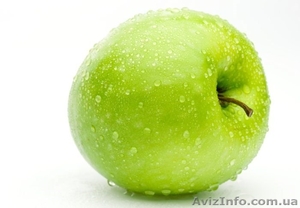 Отдушки оптом и в розницу от 1 литра