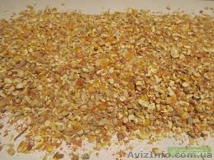 Куплю зерноотходы пшеницы,  кукурузы,  сои,  ячменя