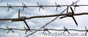 проволока колючая оцинкованная