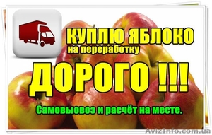 Куплю Яблоко на переработку, дорого. - <ro>Изображение</ro><ru>Изображение</ru> #1, <ru>Объявление</ru> #1309116