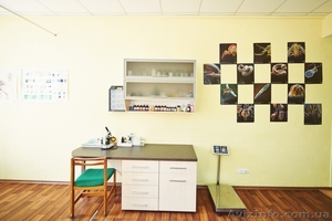 Ветеринарная клиника «Айболит» г. Чернигов - <ro>Изображение</ro><ru>Изображение</ru> #3, <ru>Объявление</ru> #939373