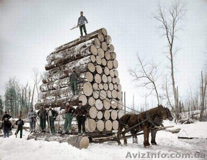 Покупаем дрова. - <ro>Изображение</ro><ru>Изображение</ru> #1, <ru>Объявление</ru> #1477518