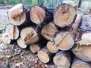 Дрова в Николаеве.