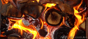 Дрова Запорожье.