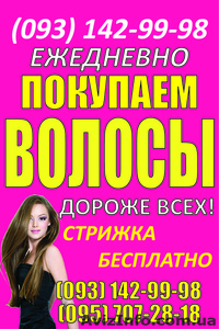 Продать волосы в Чернигове дорого Куплю волосы дороже всех Скупка волос Украина - <ro>Изображение</ro><ru>Изображение</ru> #1, <ru>Объявление</ru> #1543091
