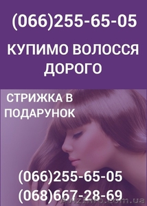 Скупка волос Чернигов Продать волосы в Чернигове дорого - <ro>Изображение</ro><ru>Изображение</ru> #1, <ru>Объявление</ru> #1559759