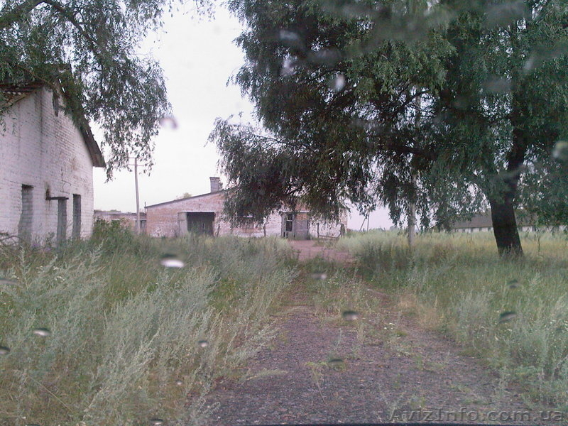 Закрытое акционерное общество(колхоз) - <ro>Изображение</ro><ru>Изображение</ru> #2, <ru>Объявление</ru> #24277