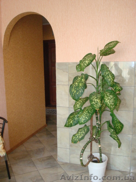 Сдам 1-ком. квартиру посуточно в самом центре Чернигова - <ro>Изображение</ro><ru>Изображение</ru> #2, <ru>Объявление</ru> #144936