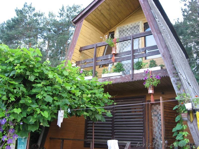 Дачный домик с участками - <ro>Изображение</ro><ru>Изображение</ru> #3, <ru>Объявление</ru> #183195