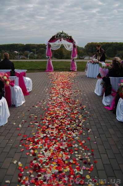 Креативное Свадебное Агентство "Аморе-Аморе" - <ro>Изображение</ro><ru>Изображение</ru> #6, <ru>Объявление</ru> #272140