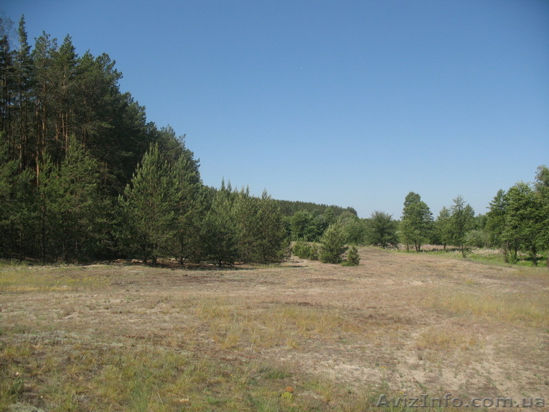 продам полдома в селе возле г.Остер Козелецкий рн. - <ro>Изображение</ro><ru>Изображение</ru> #9, <ru>Объявление</ru> #249133