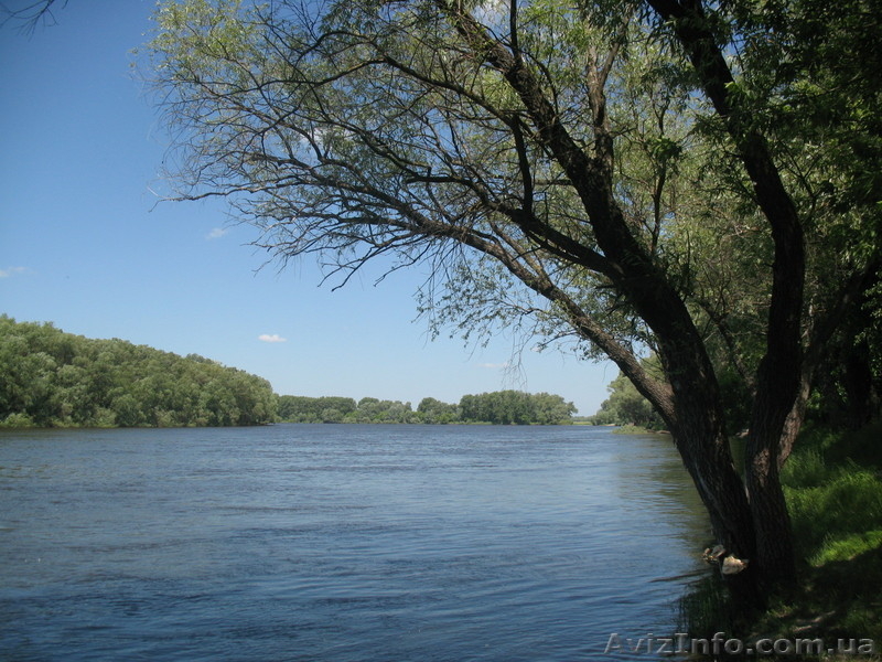 продам полдома в селе возле г.Остер Козелецкий рн. - <ro>Изображение</ro><ru>Изображение</ru> #6, <ru>Объявление</ru> #249133