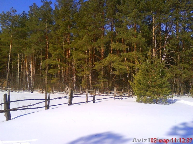 ДОМ У САМОГО ЛЕСA - <ro>Изображение</ro><ru>Изображение</ru> #5, <ru>Объявление</ru> #316900