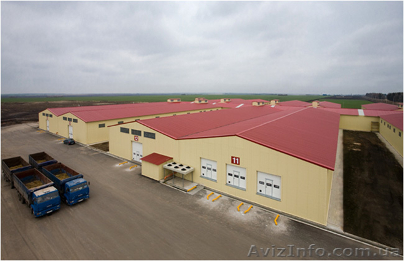 Производство и монтаж складов,ангаров,зернохранилищ,ЛСТК - <ro>Изображение</ro><ru>Изображение</ru> #3, <ru>Объявление</ru> #448355