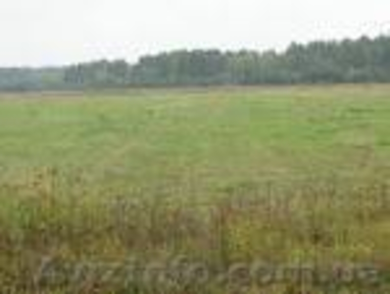 СРОЧНО!!! Продам участок 225сот.  - <ro>Изображение</ro><ru>Изображение</ru> #3, <ru>Объявление</ru> #533165