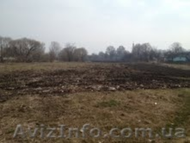 Дача, участок земельный, продаю срочно - <ro>Изображение</ro><ru>Изображение</ru> #3, <ru>Объявление</ru> #631442