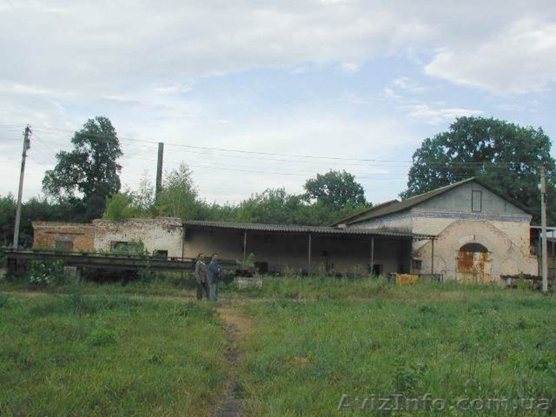Историческая недвижимость. Бобровицкий р-н, с.Озеряны (Майновка) - <ro>Изображение</ro><ru>Изображение</ru> #4, <ru>Объявление</ru> #659923