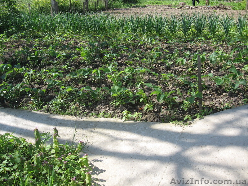 Дачный участок в Сов. Слободе - <ro>Изображение</ro><ru>Изображение</ru> #1, <ru>Объявление</ru> #654486