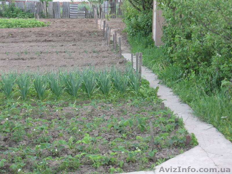 Дачный участок в Сов. Слободе - <ro>Изображение</ro><ru>Изображение</ru> #2, <ru>Объявление</ru> #654486