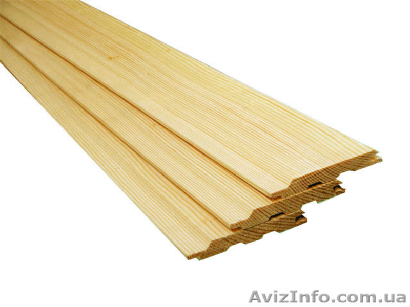 Лиственница сибирская Чернигов Украина - <ro>Изображение</ro><ru>Изображение</ru> #1, <ru>Объявление</ru> #153170