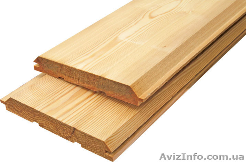 Лиственница сибирская Чернигов Украина - <ro>Изображение</ro><ru>Изображение</ru> #5, <ru>Объявление</ru> #153170